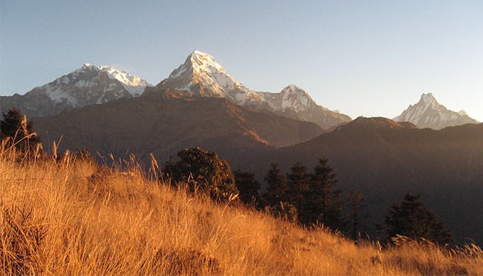 Ghorepani Poonhill Short Hiking tour in Nepal
